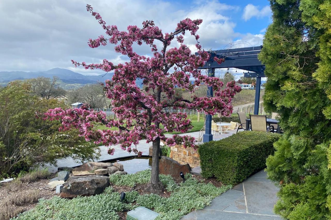 Alexander Valley Retreat 헤즈버그 외부 사진