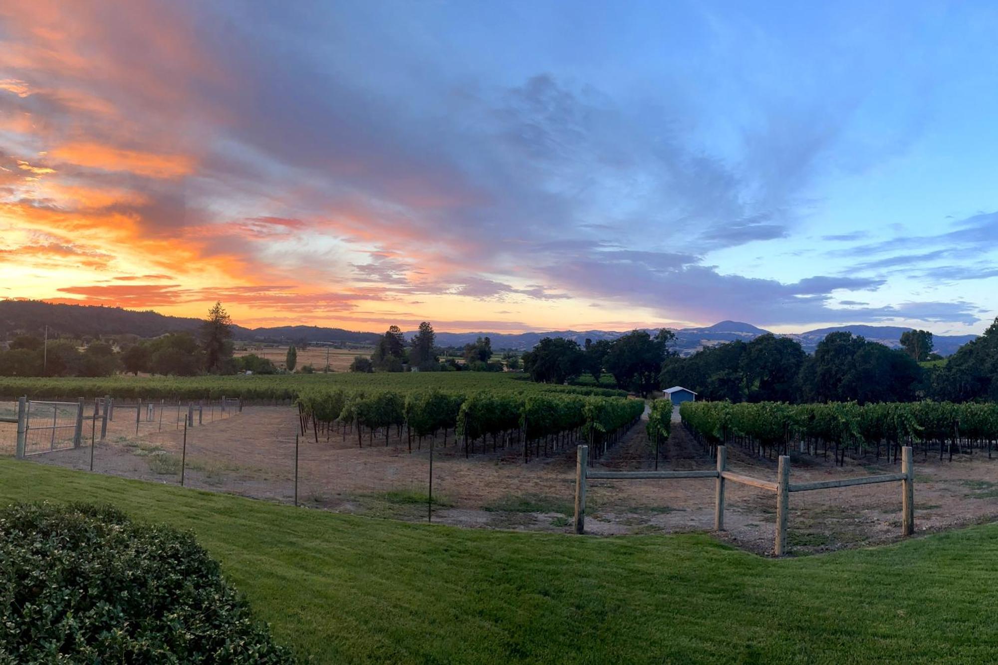 Alexander Valley Retreat 헤즈버그 외부 사진